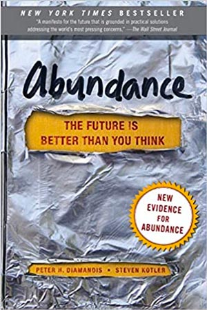 abundance_book